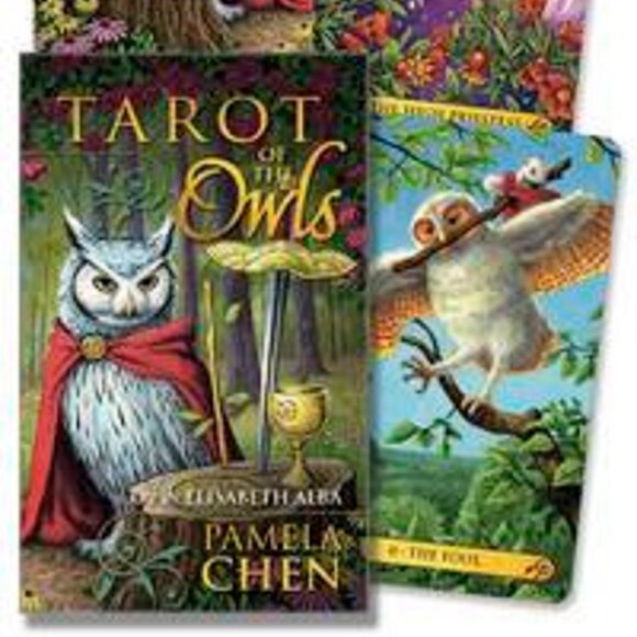 Tarot of the Owls Mini Deck, beginner deck, guidebook - Picture 1 of 5